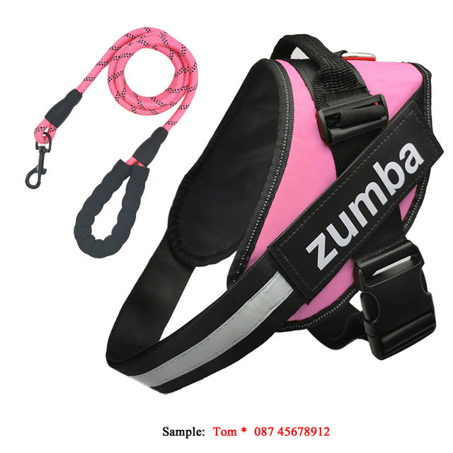 Personalized Reflective Breathable Adjustable Dog Harness and Leash Set