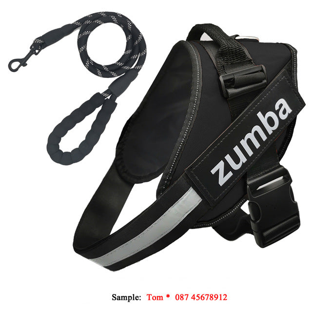 Personalized Reflective Breathable Adjustable Dog Harness and Leash Set